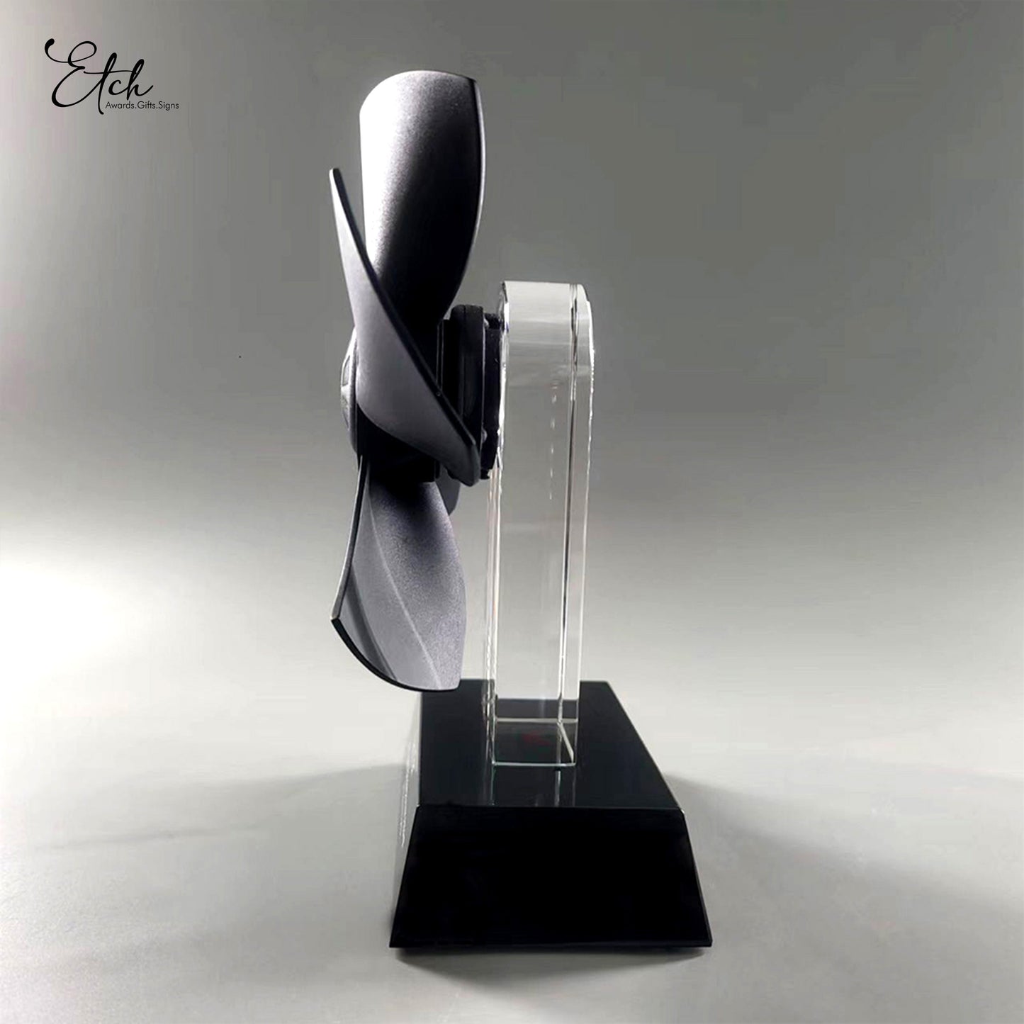 Customised 3D Fan Award