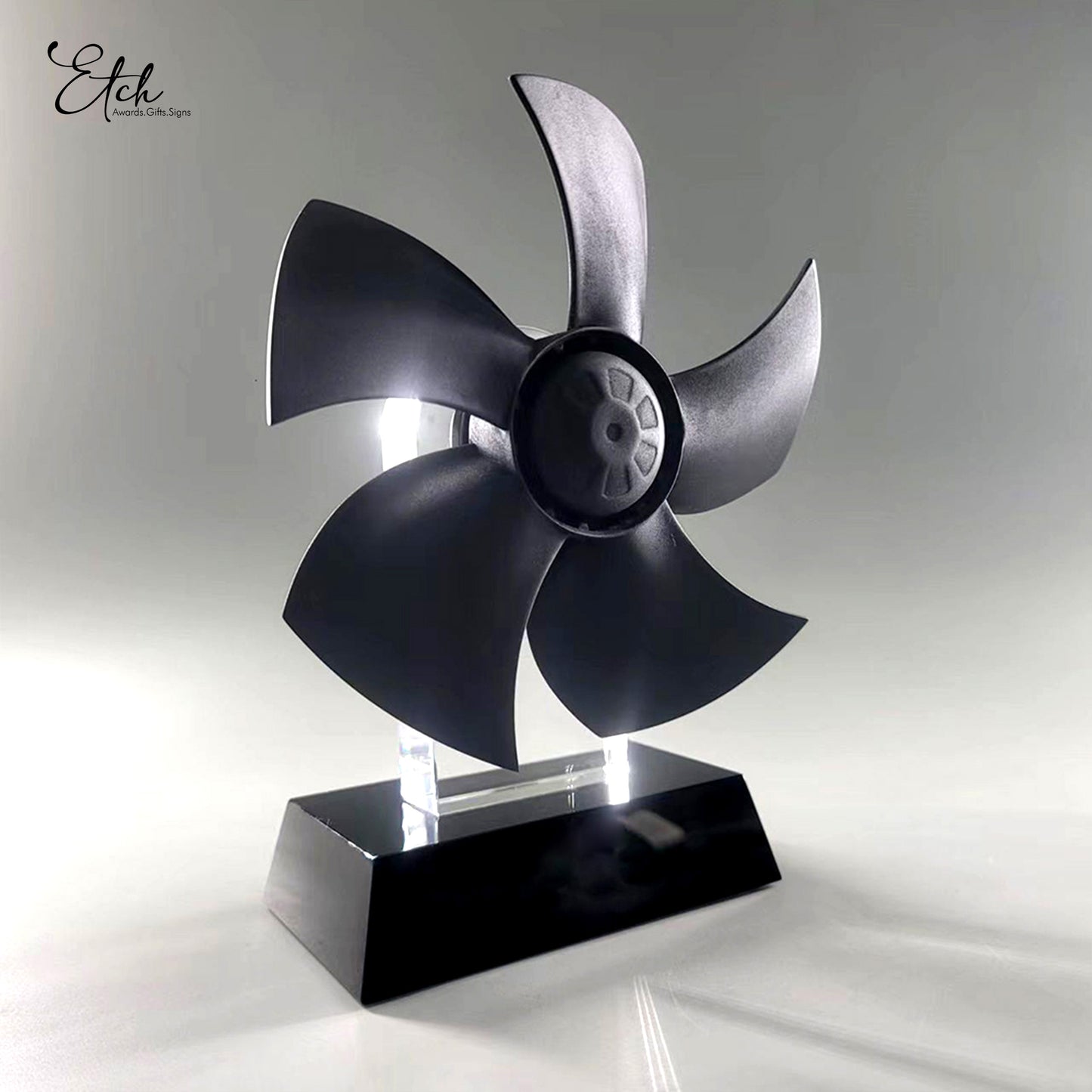 Customised 3D Fan Award