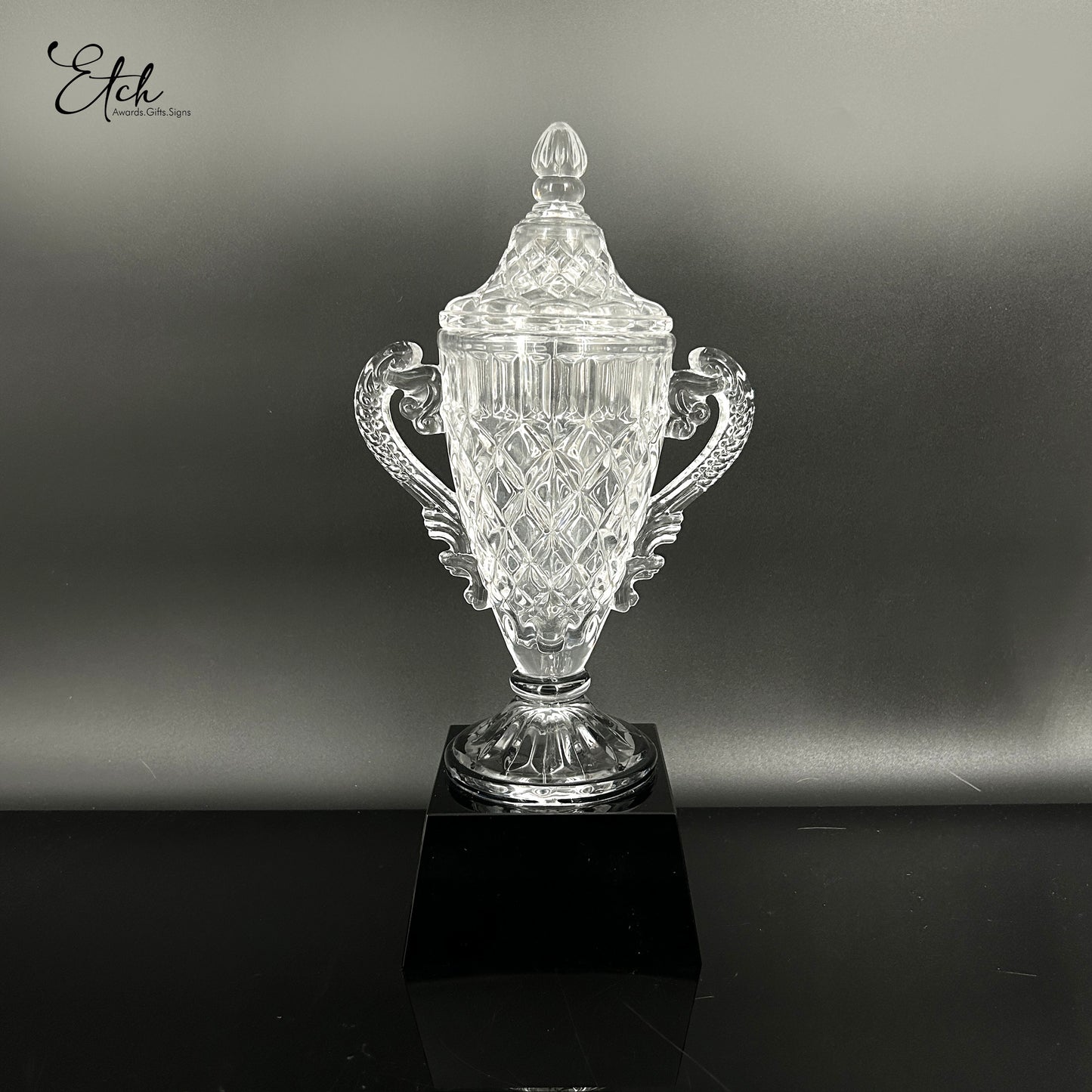 Crystal Triumph Trophy Award