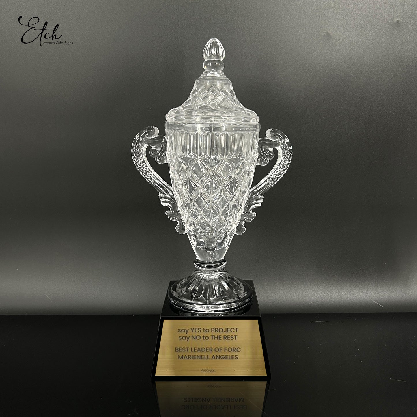 Crystal Triumph Trophy Award