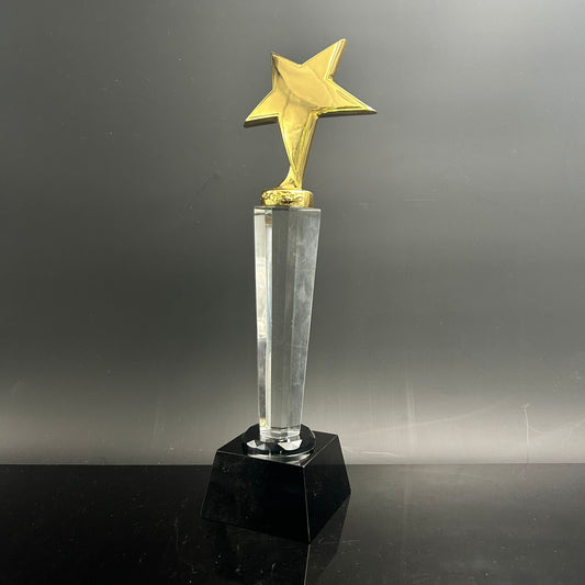 Elevated Curved Star Trophy Award