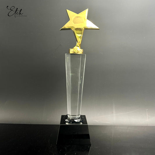 Elevated Curved Star Trophy Award