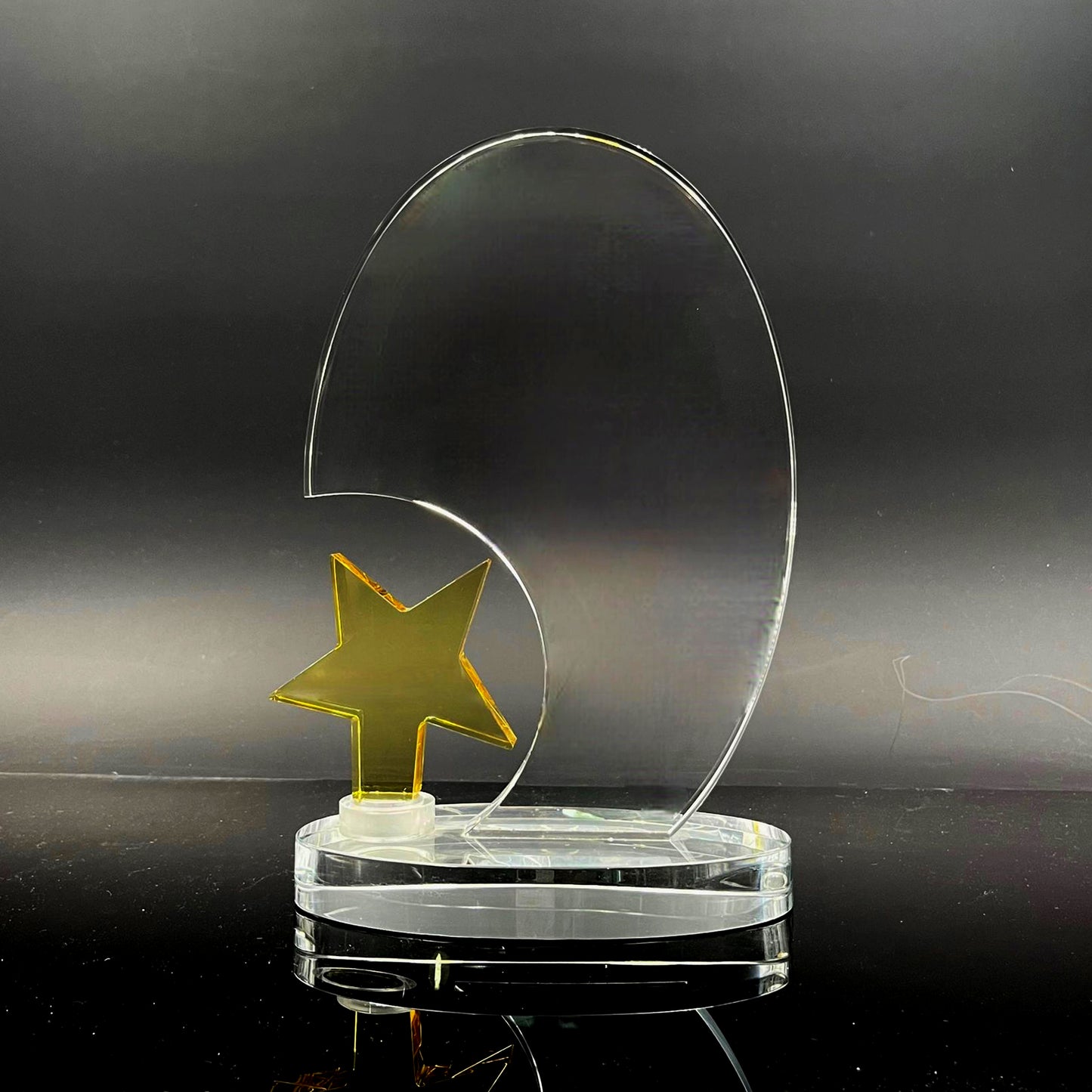 Golden Surfing Star Trophy Award