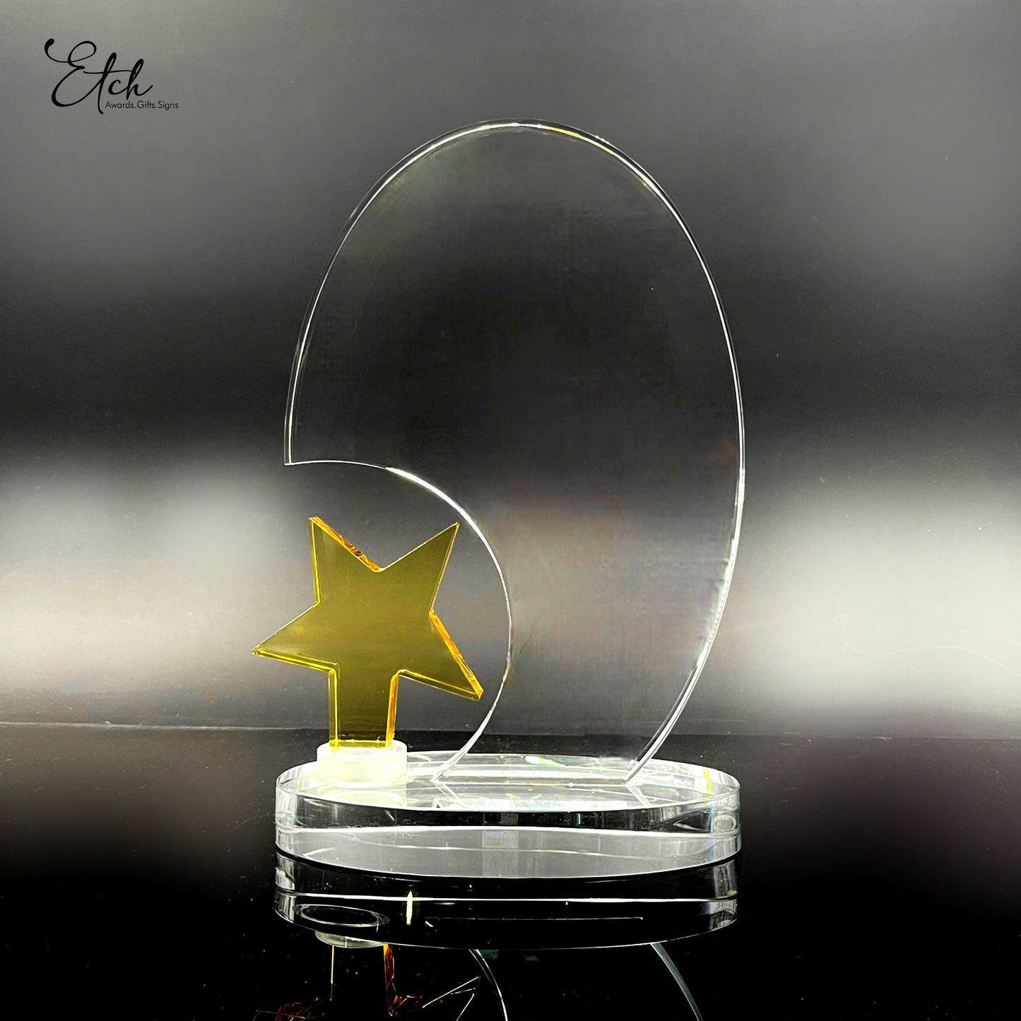 Golden Surfing Star Trophy Award