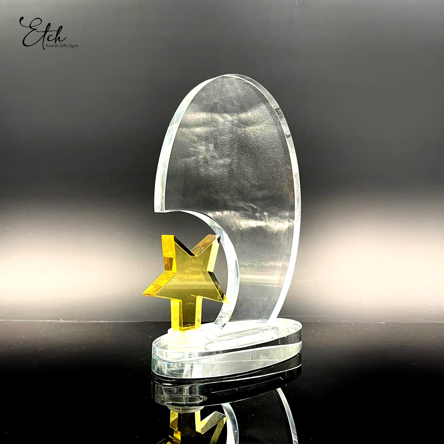 Golden Surfing Star Trophy Award