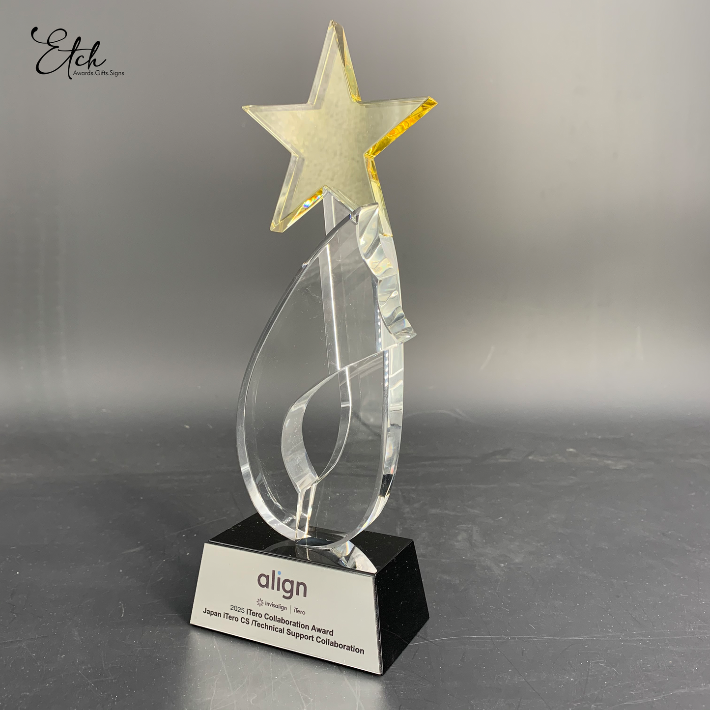 Harmony Star Trophy Award
