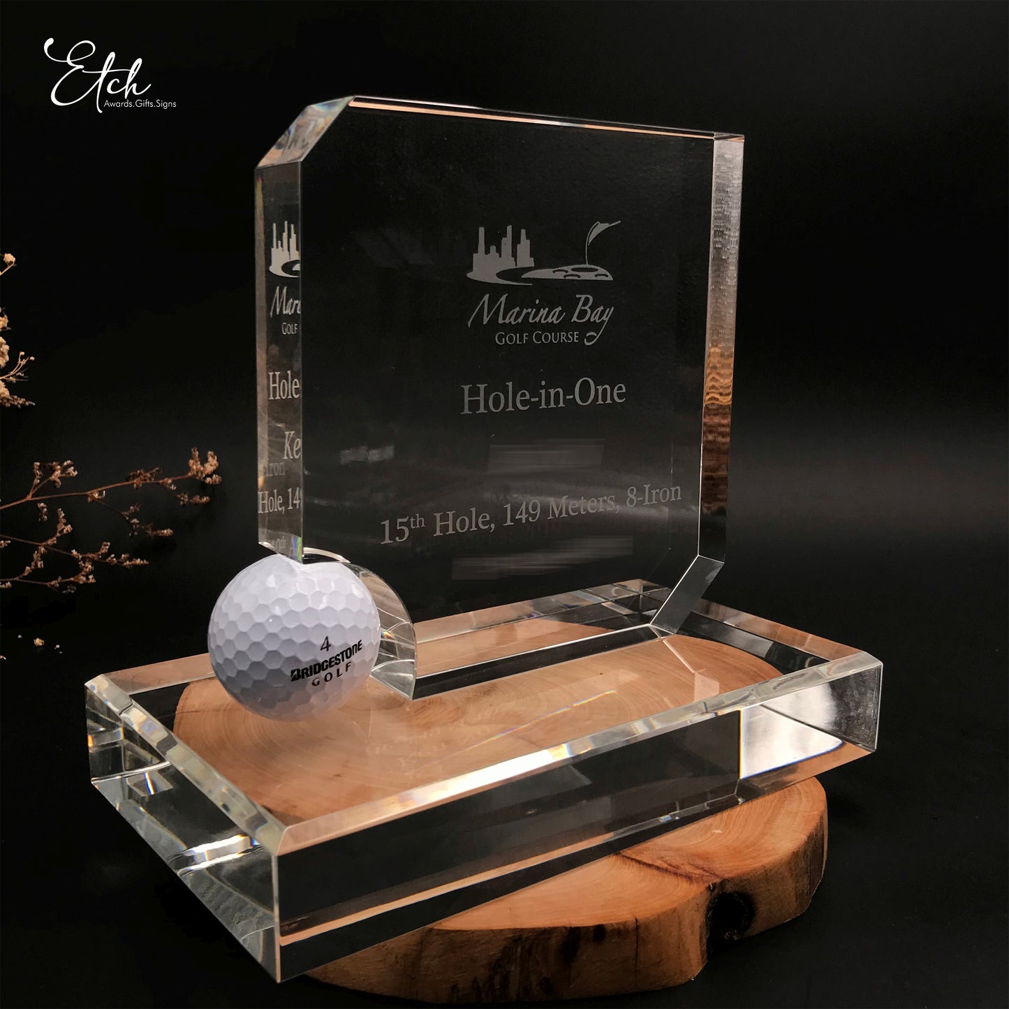Hole-in-One Golf Trophy Award
