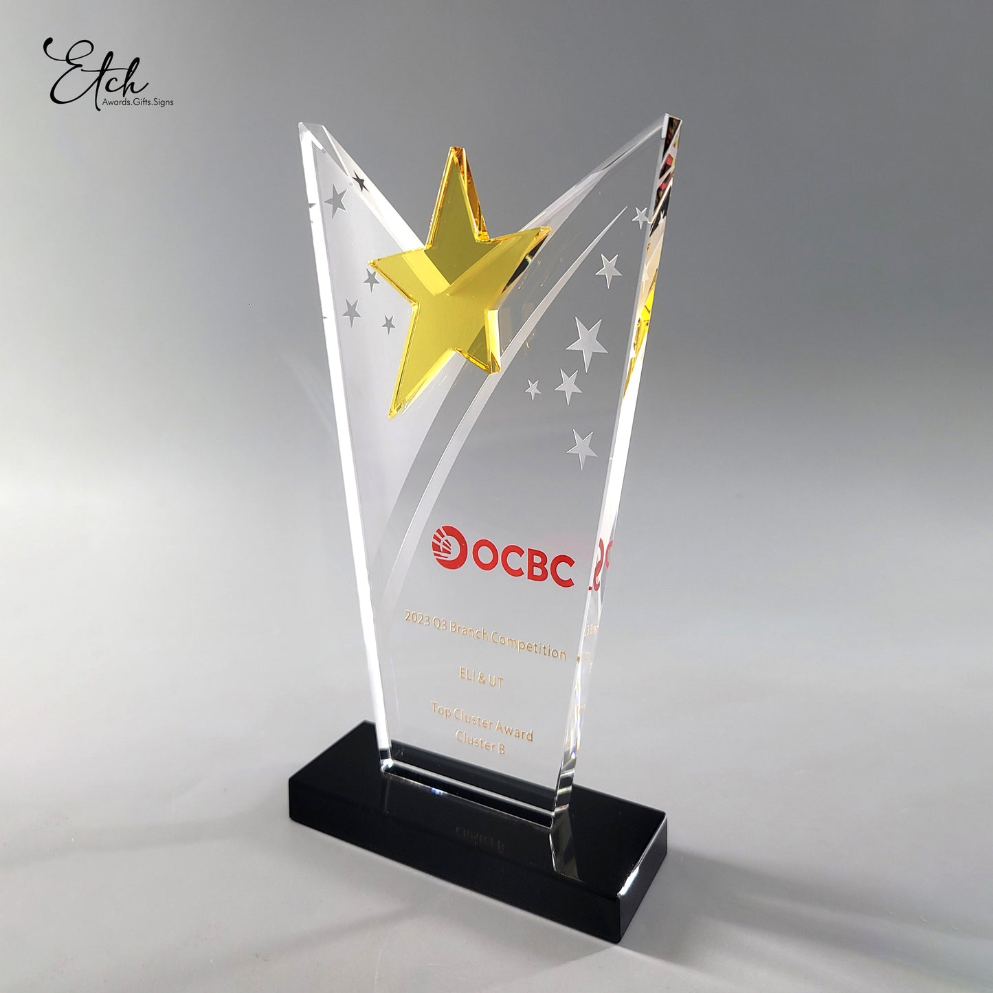 Star Performer Award