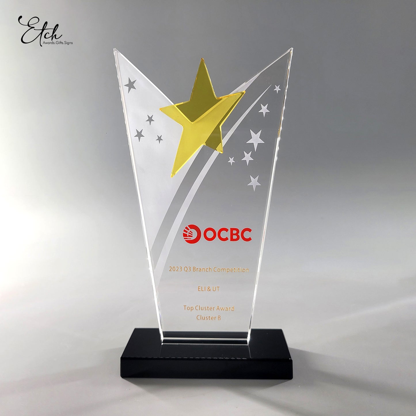 Star Performer Award