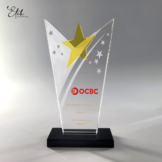 Star Performer Award
