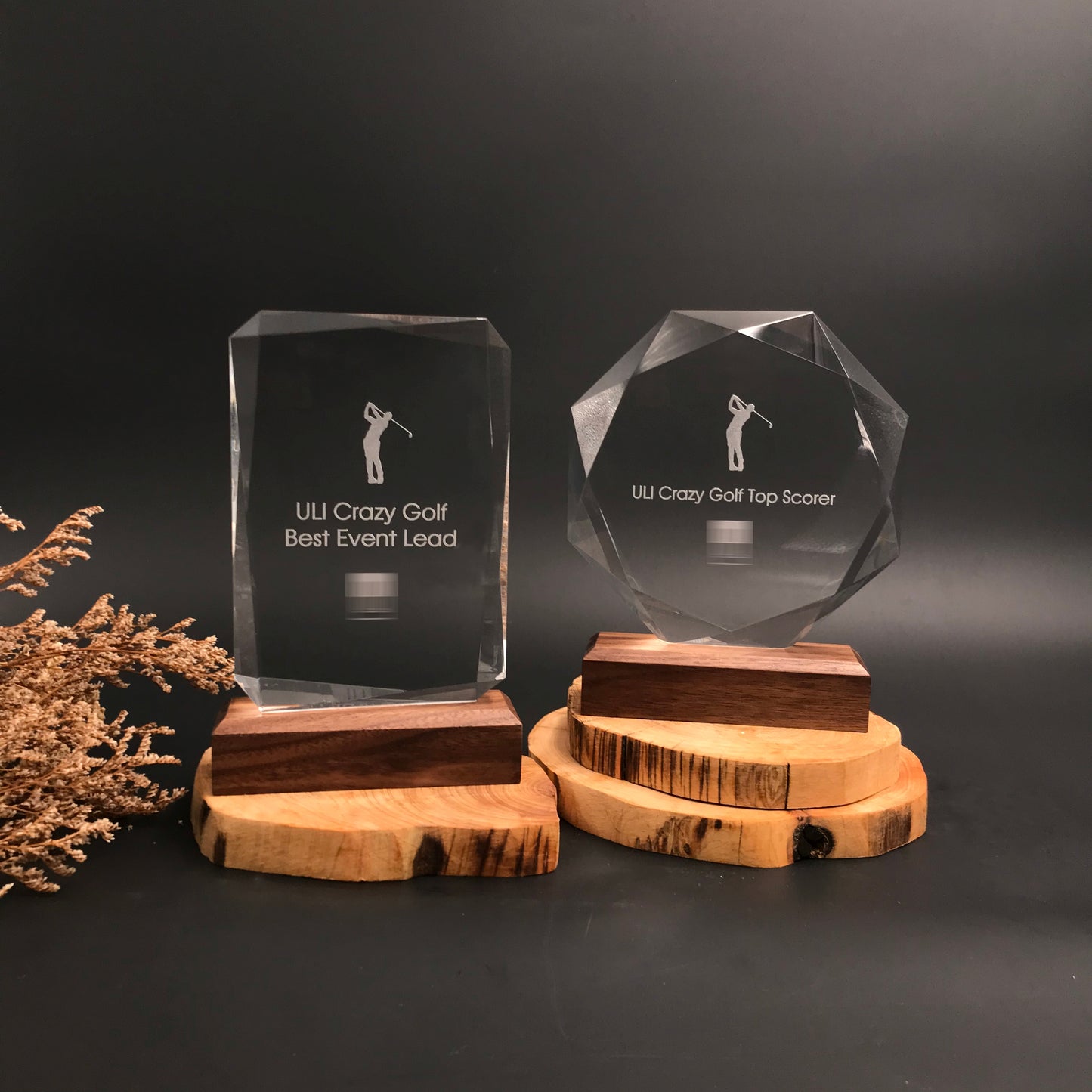 Classic Octagon Crystal Trophy Award with Wood Base