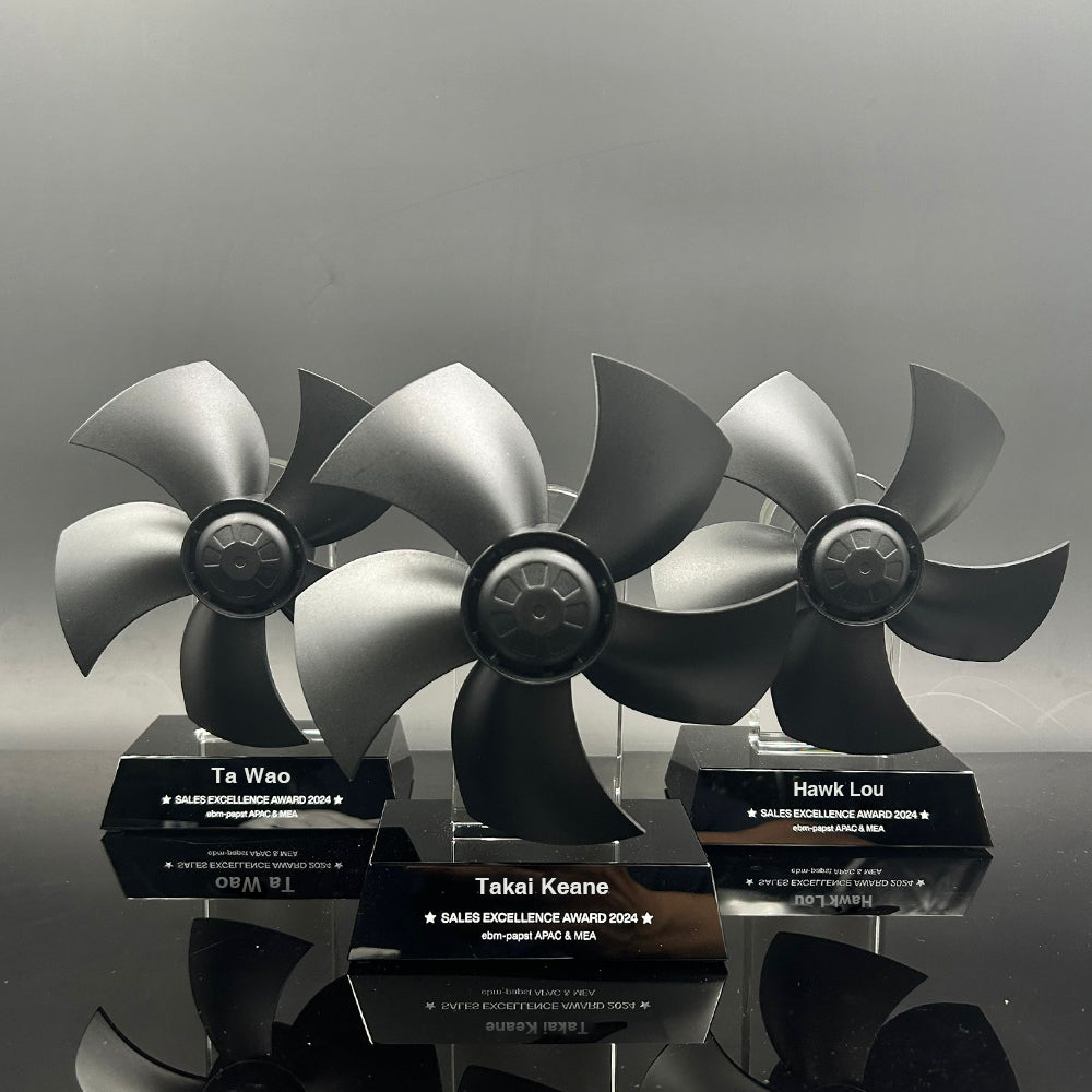 Customised 3D Fan Award