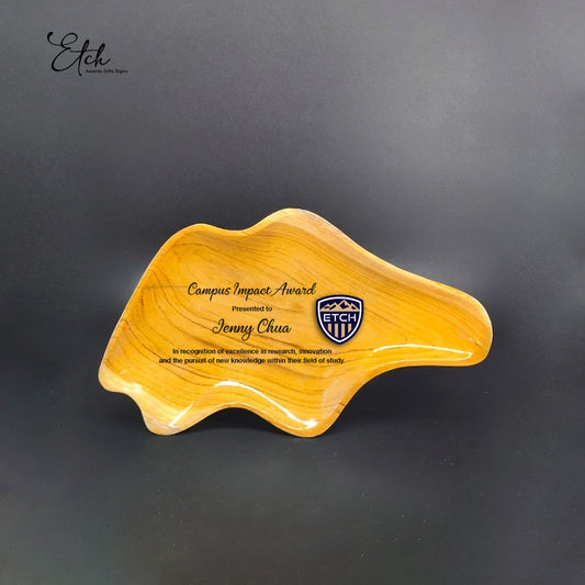 Innovative Wooden Award