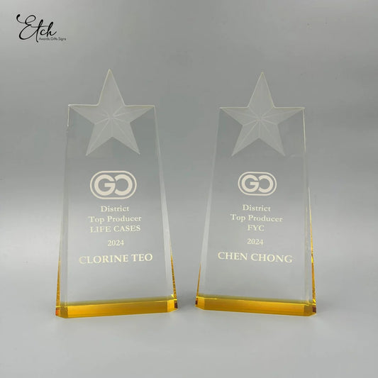 Stardom Slim Square Award